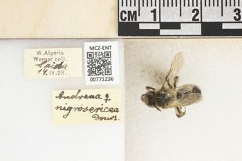 Media type: image;   Entomology 771236 Aspect: Labels